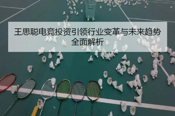 王思聪电竞投资引领行业变革与未来趋势全面解析